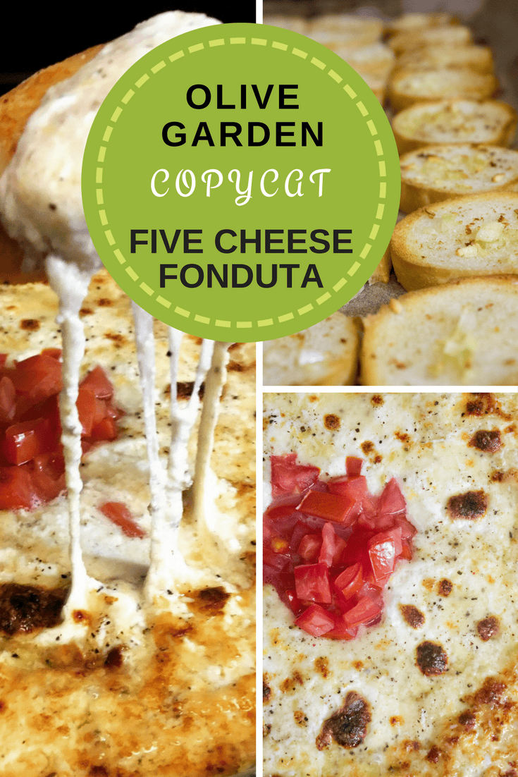 Copycat Olive Garden Five Cheese Italian Fonduta