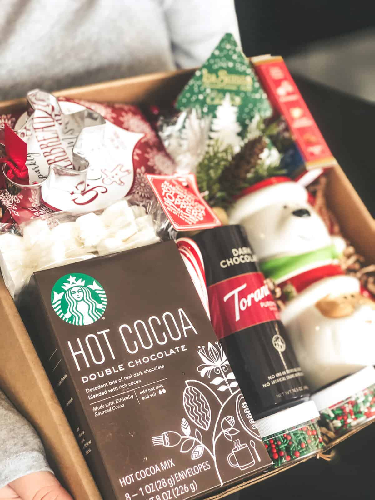 Gift Basket - Holiday Cocoa & Cookies