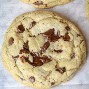 The Ultimate Chewy Chocolate Chip Cookies