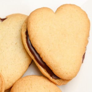 Double Dark Homemade Milano Cookies Recipe