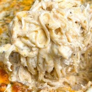 Easy Chicken Tetrazzini