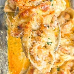 Stuffed pasta shells