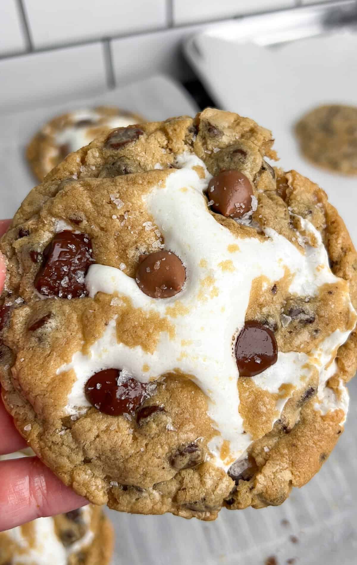 S'mores chocolate chip cookies