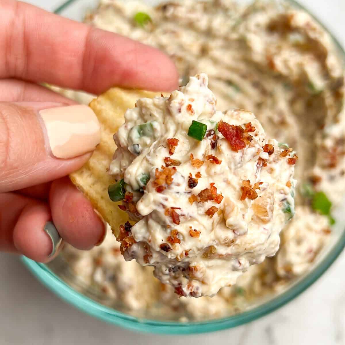 Sour Cream and Onion Dip - Cozy Cravings