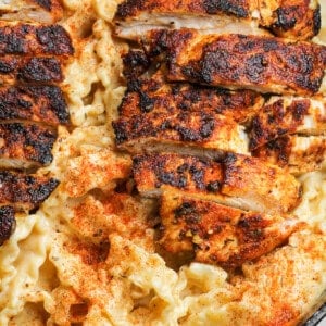 blackened cajun chicken alfredo