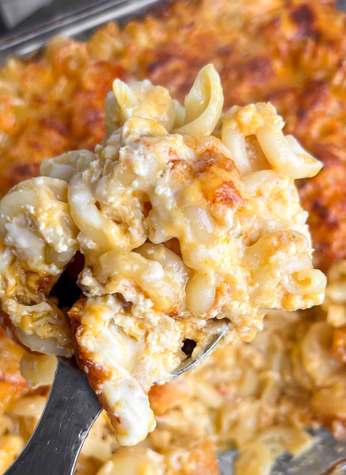 Homemade Macaroni and Cheese