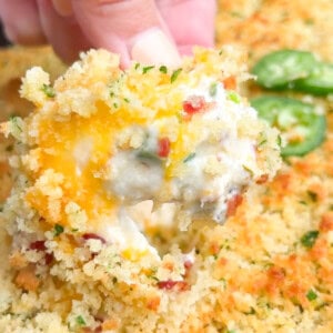 Jalapeno Popper Dip