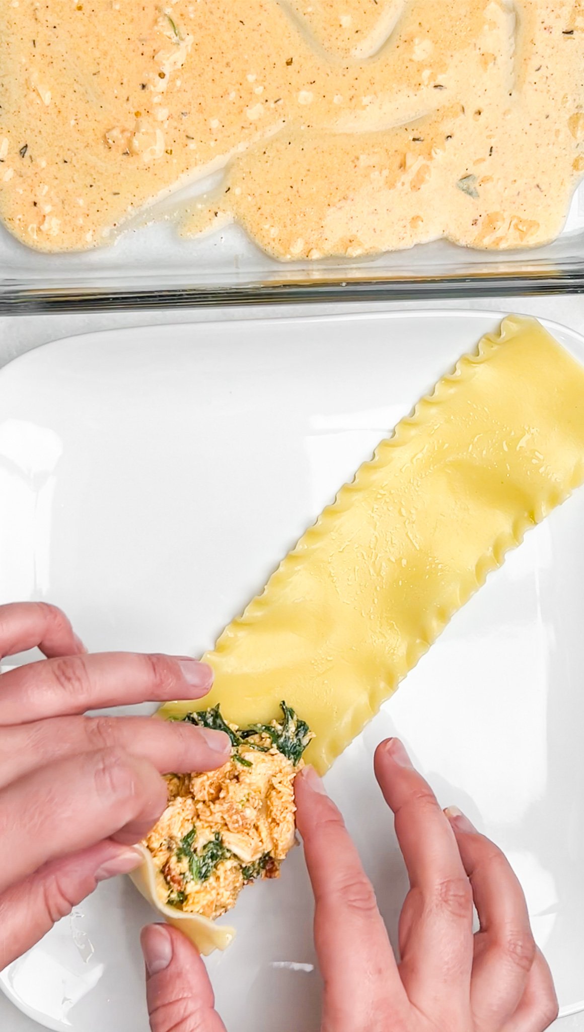 chicken lasagna roll ups