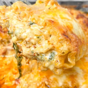 chicken lasagna roll ups