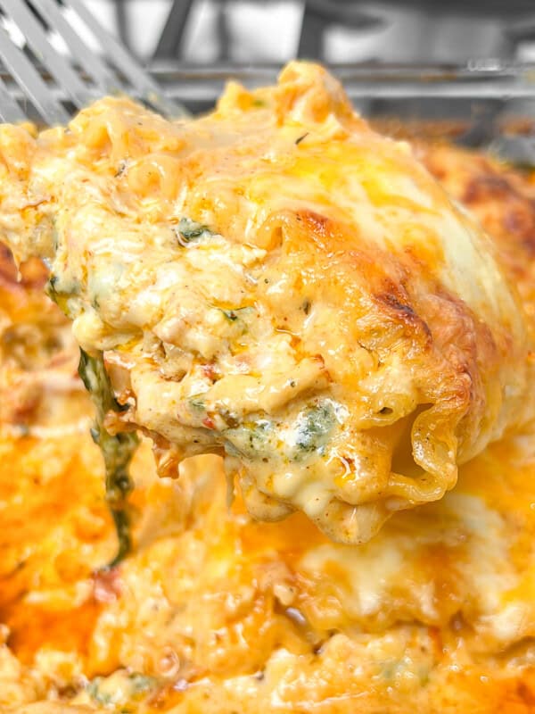 chicken lasagna roll ups