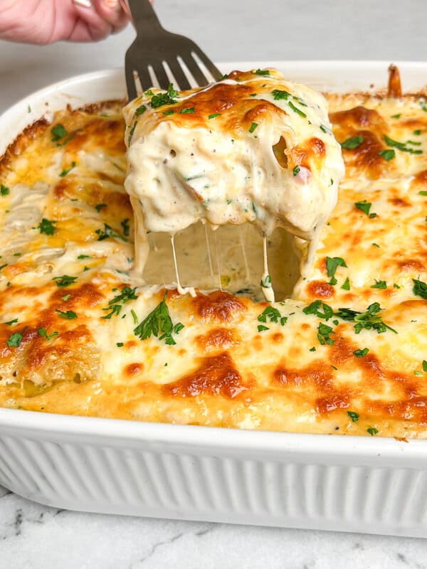 chicken alfredo lasagna