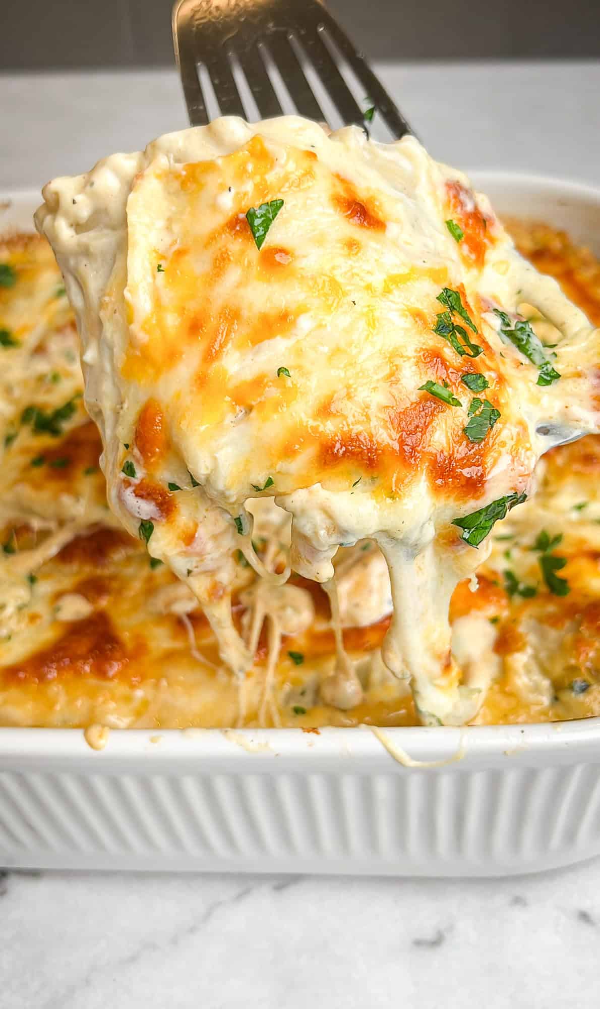 chicken alfredo lasagna