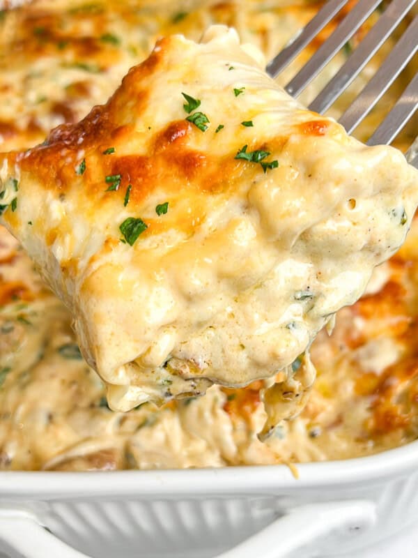 chicken alfredo lasagna