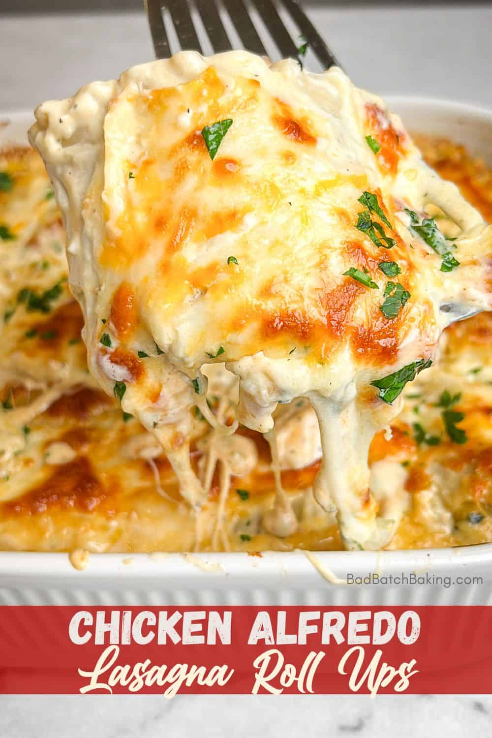 chicken alfredo lasagna