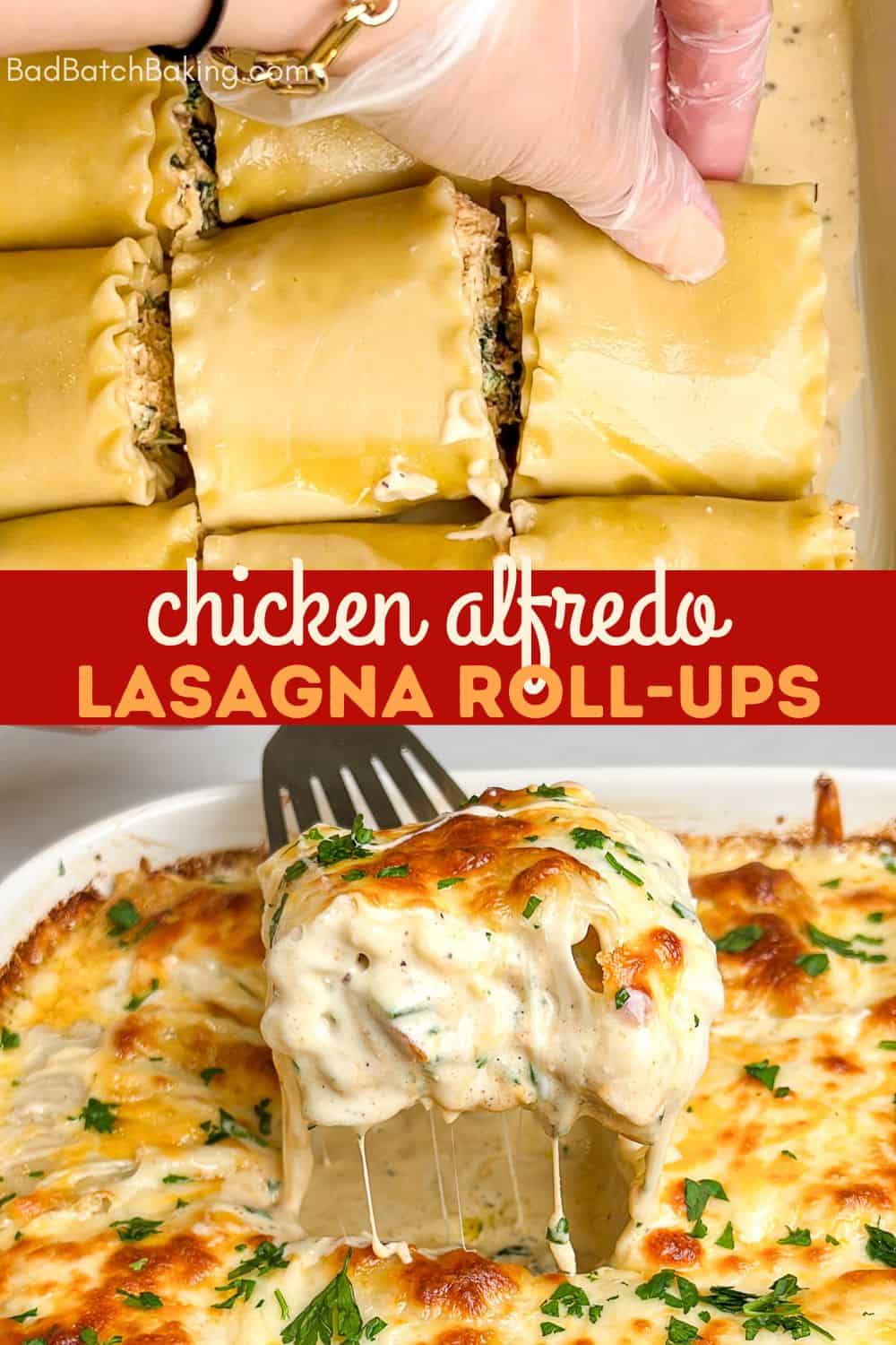 chicken alfredo lasagna