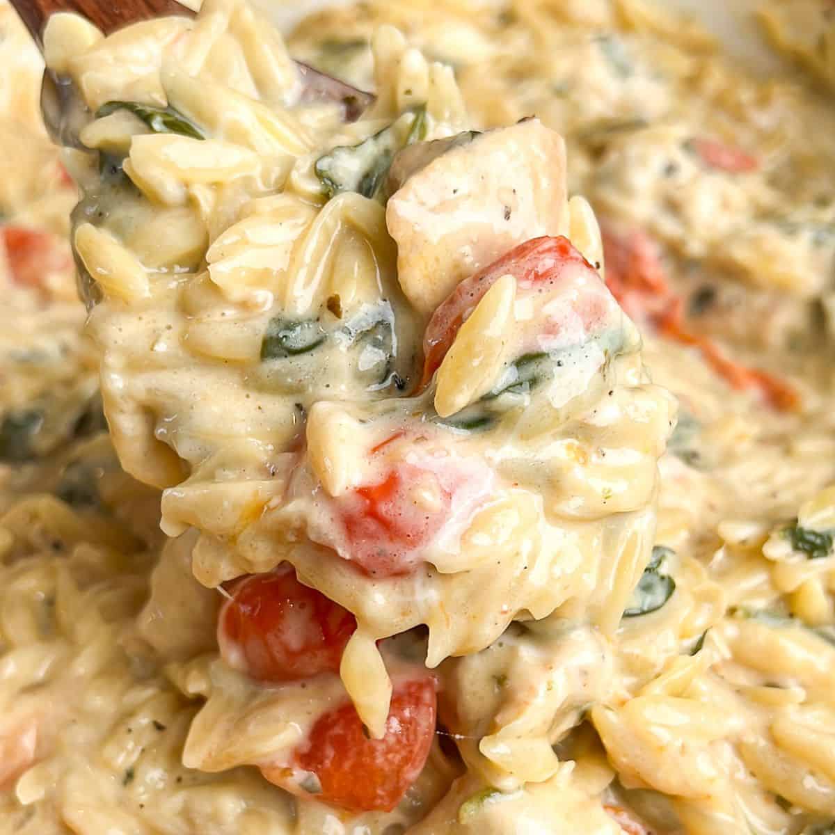 Orzo Tuscan Chicken Bake-image
