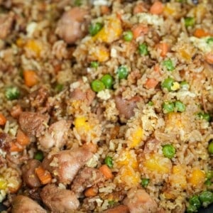 mango chicken fried rice