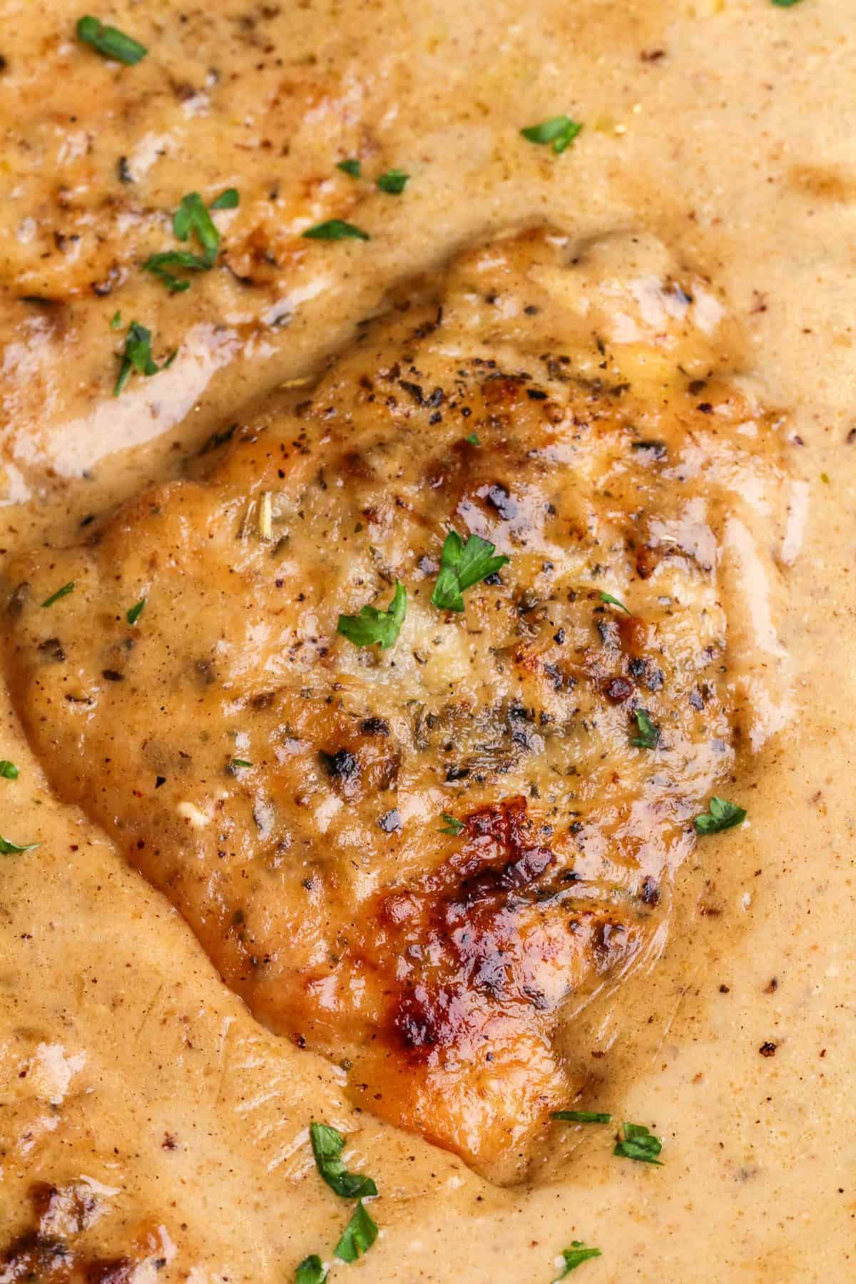 With a rich, mouth-watering sauce made from garlic, heavy cream, and parmesan, this creamy garlic chicken is comfort food at its finest. Close up of creamy garlic chicken