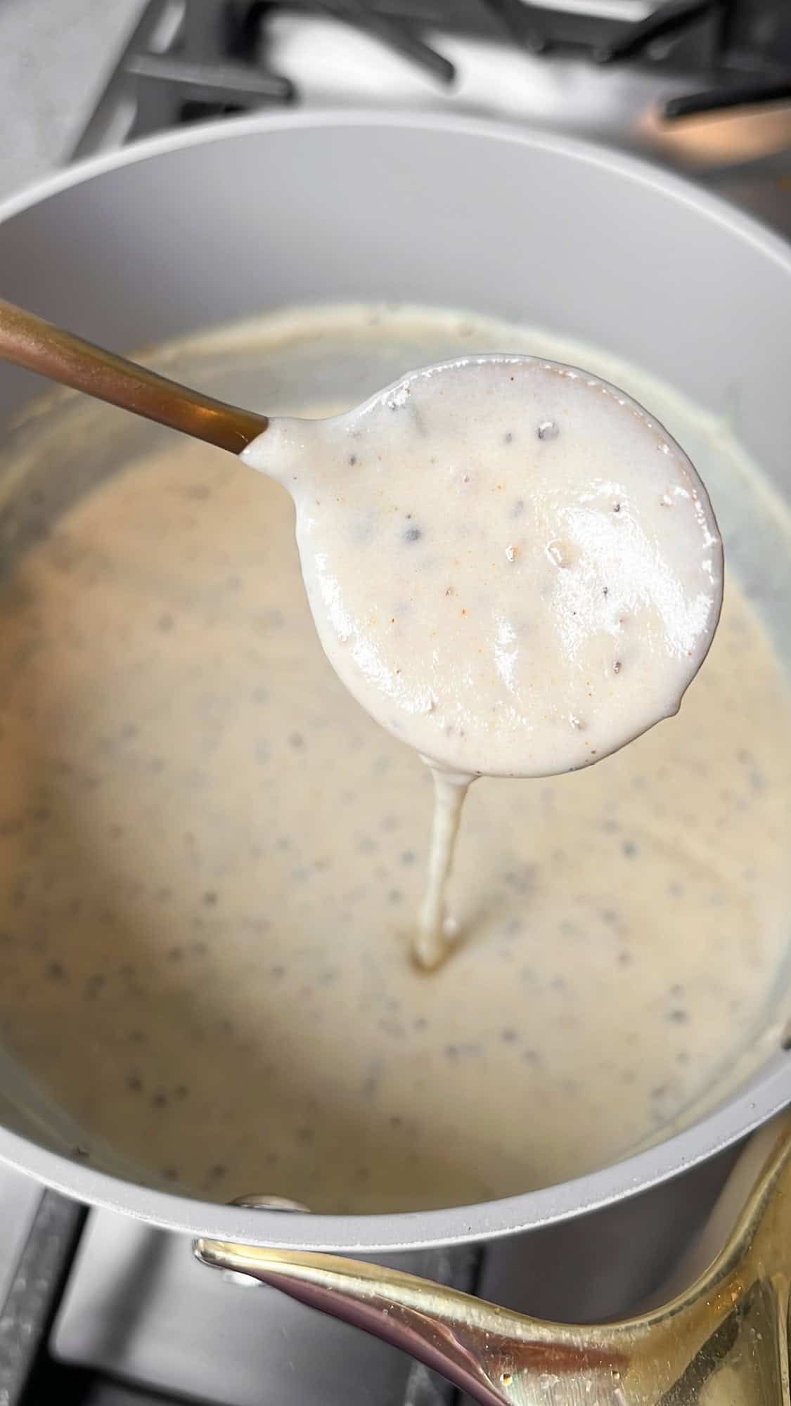 creamy garlic parmesan sauce