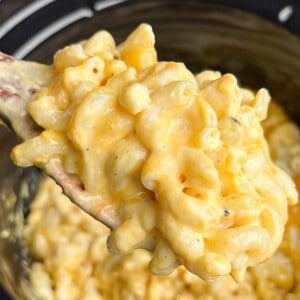 creamy mac and cheese in a slow cooker on a spoon