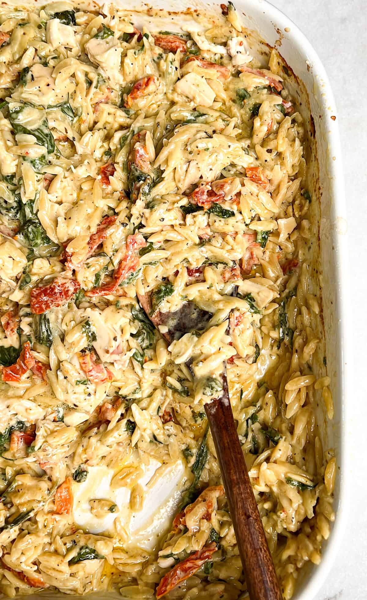 chicken orzo with sundried tomatoes and spinach in a pan on the counter