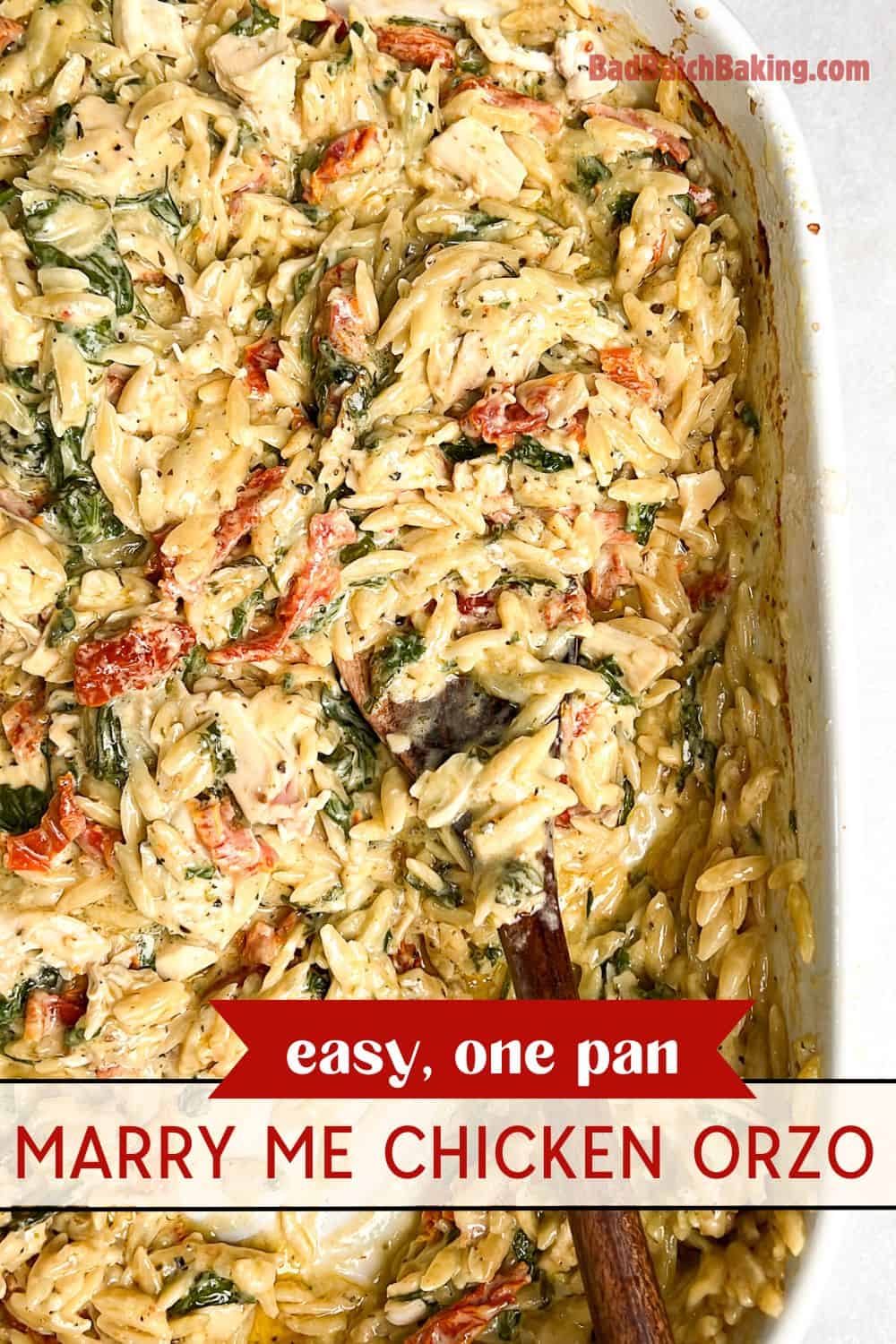 chicken orzo in a pan with a spoon