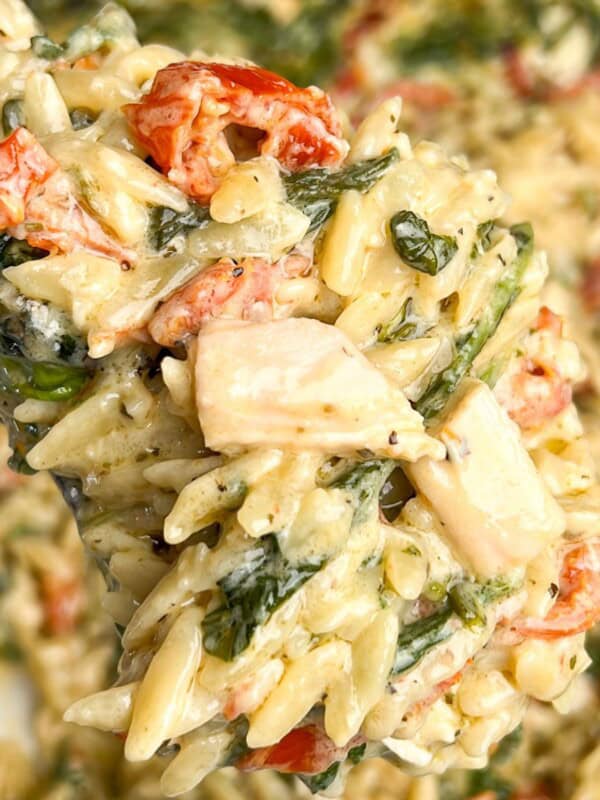 chicken spinach tomato orzo on a spoon over a pan