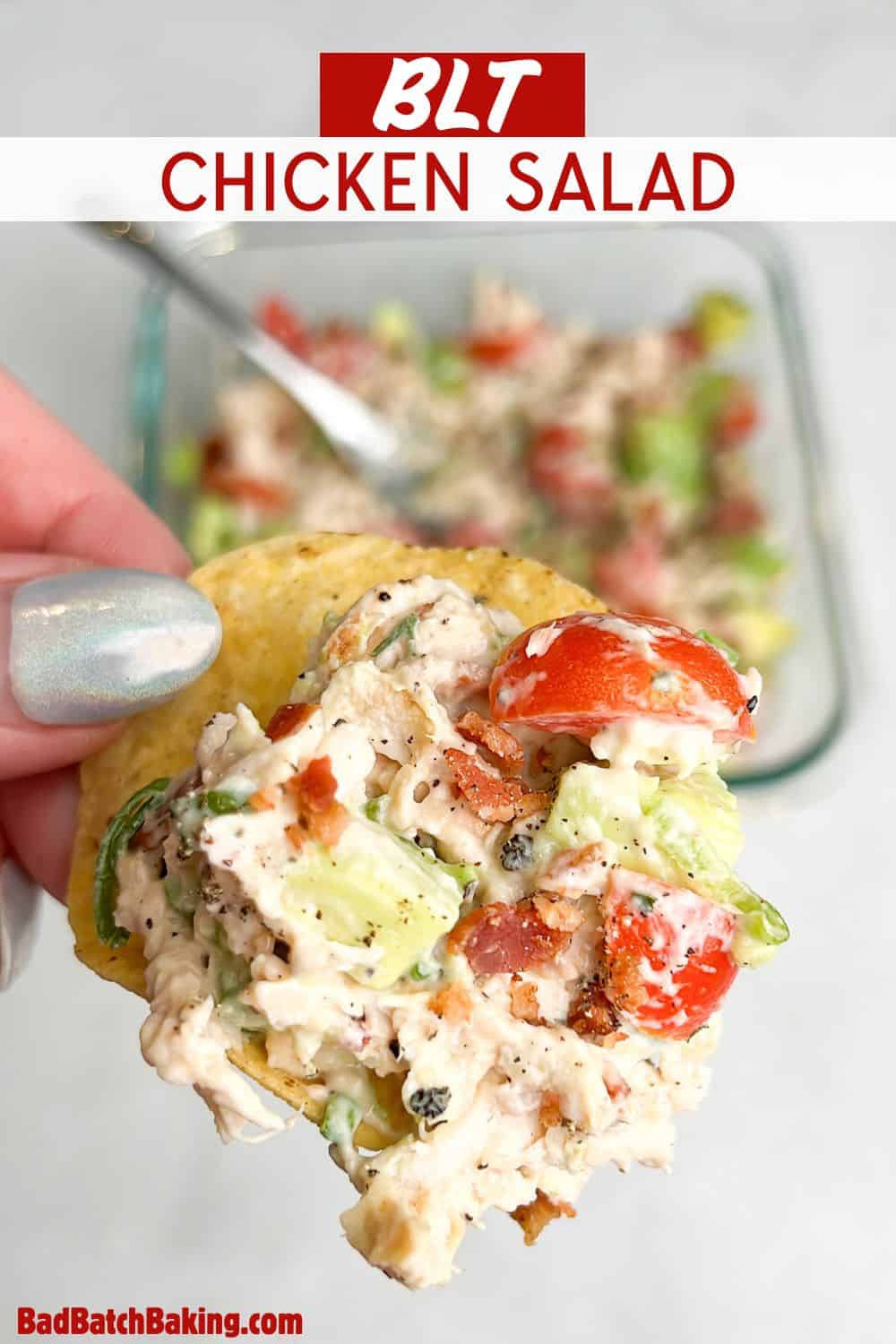 chicken salad scooped into a tortilla chip