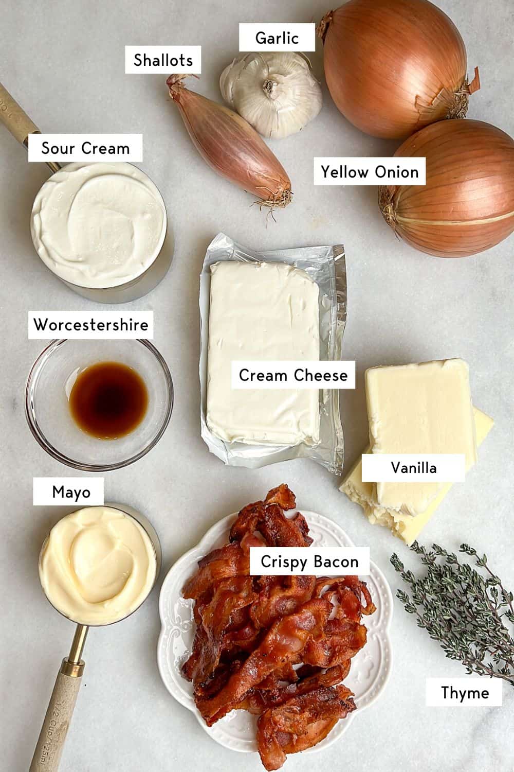 ingredients measured out for hot caramelized onion dip