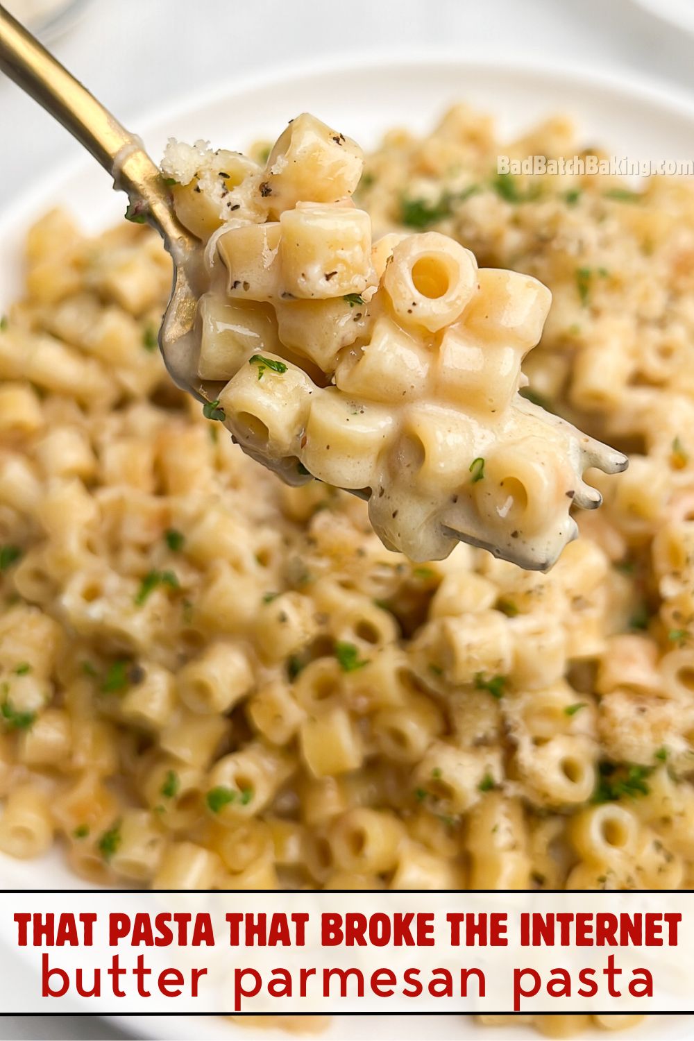 butter parmesan pasta on a plate