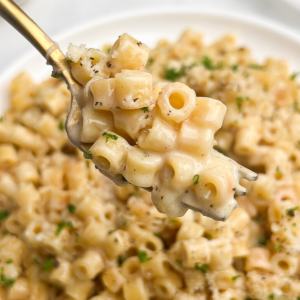 butter parmesan pasta on a plate