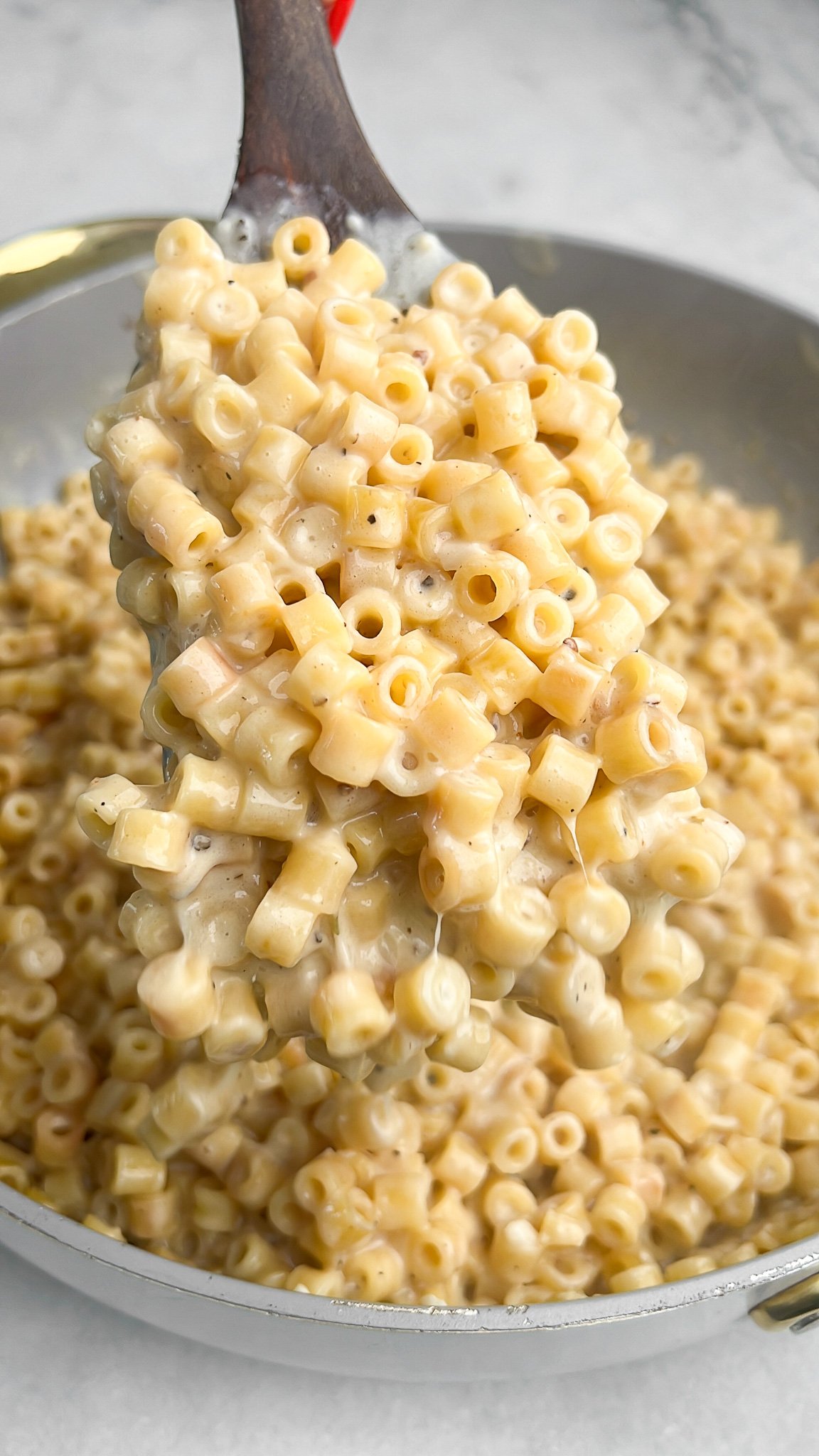 creamy pasta in a pan on a spatula