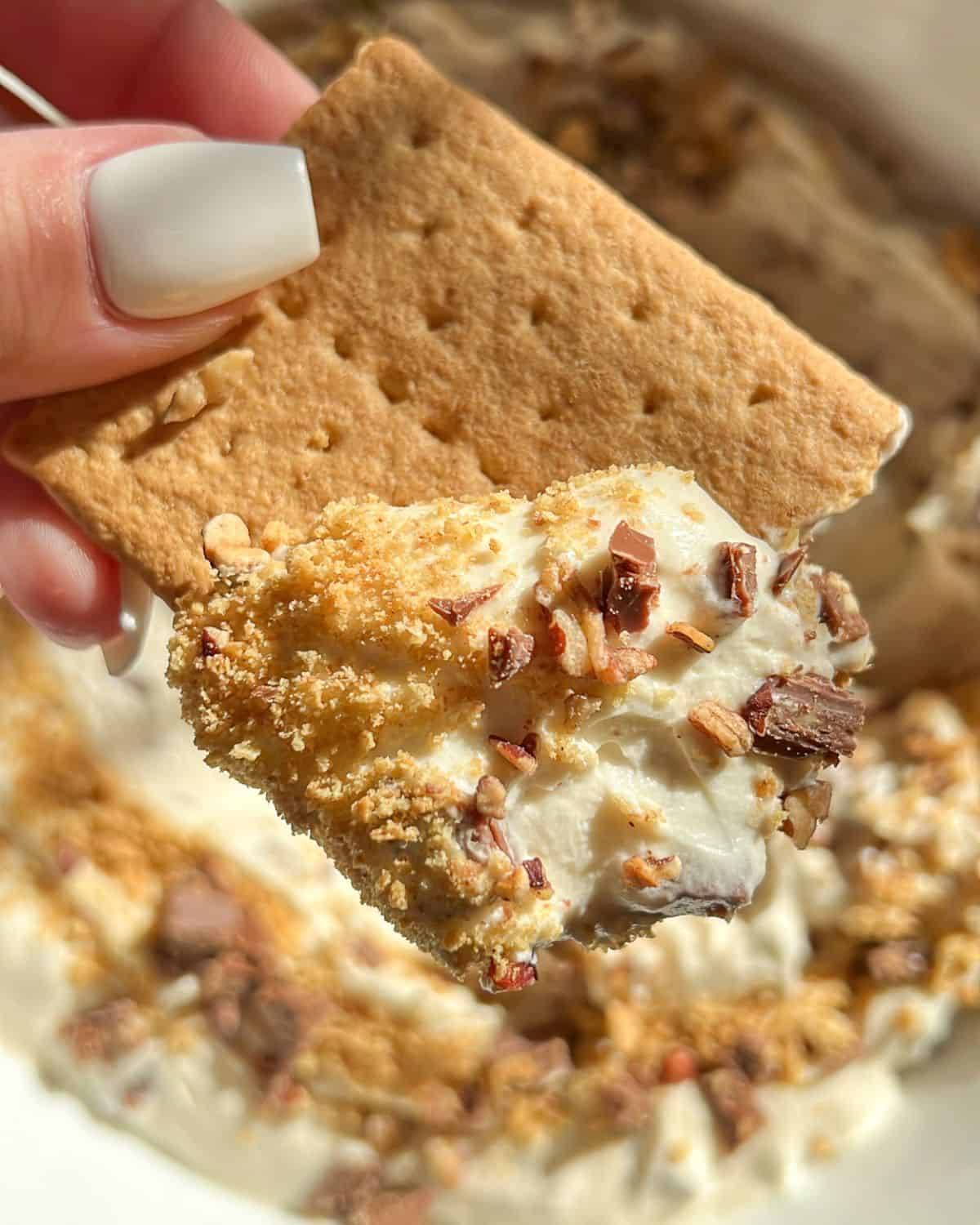 s'mores dip on a graham cracker