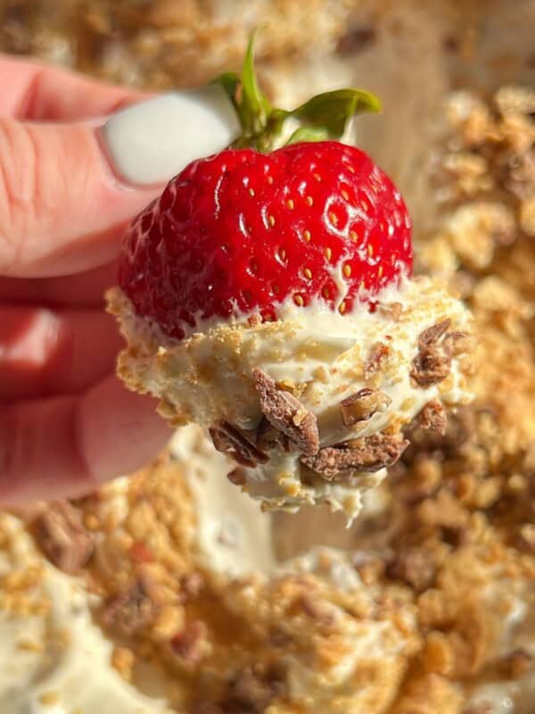 no bake smores dip with strawberries for dipping