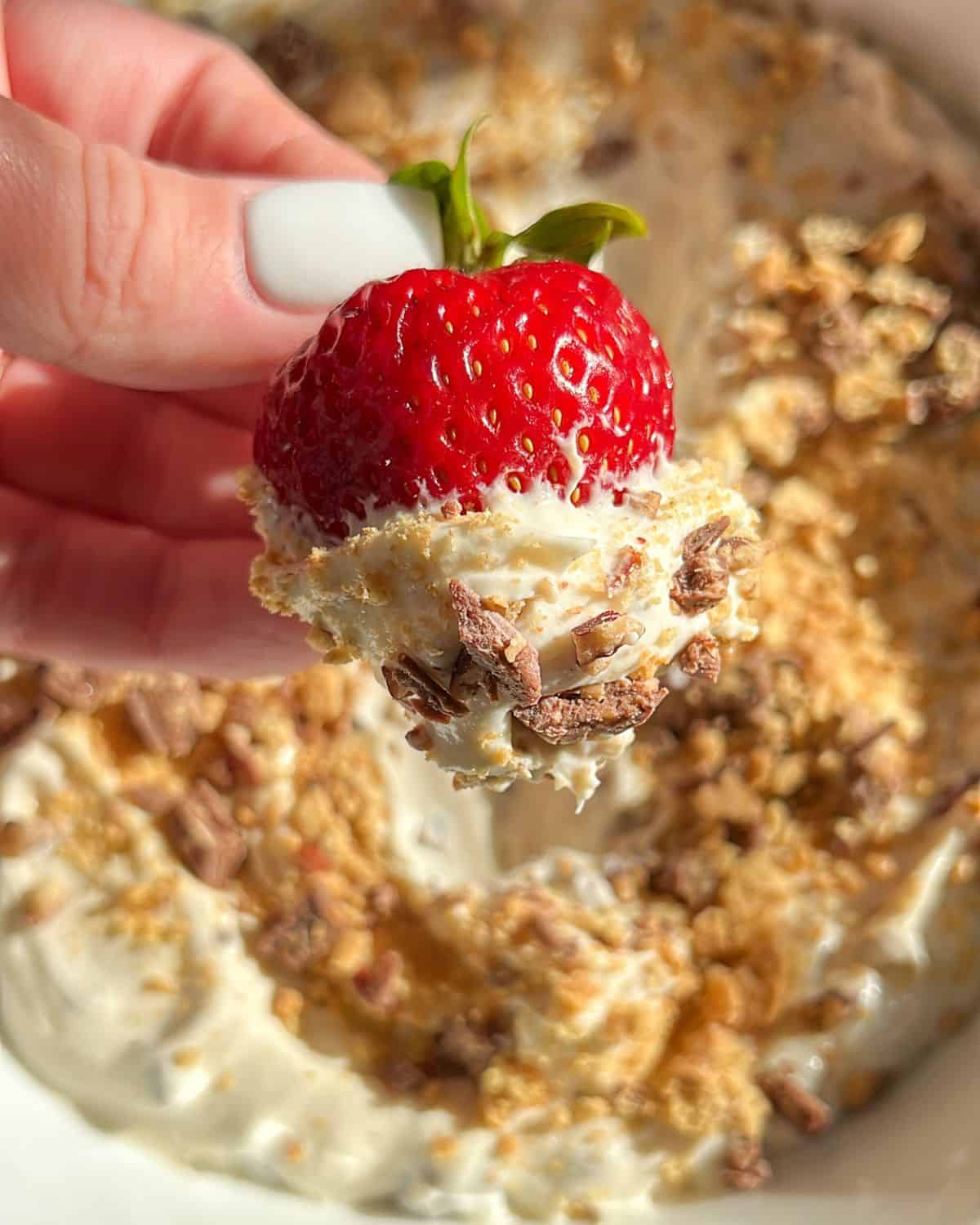 strawberry dipped in dessert dip 