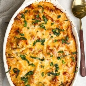 Featured image for marry me chicken stuffed shells.