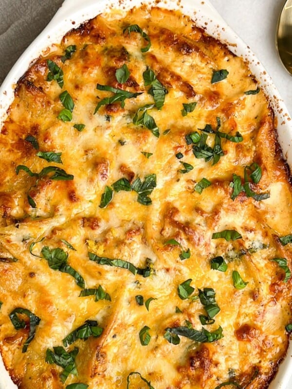 Featured image for marry me chicken stuffed shells.