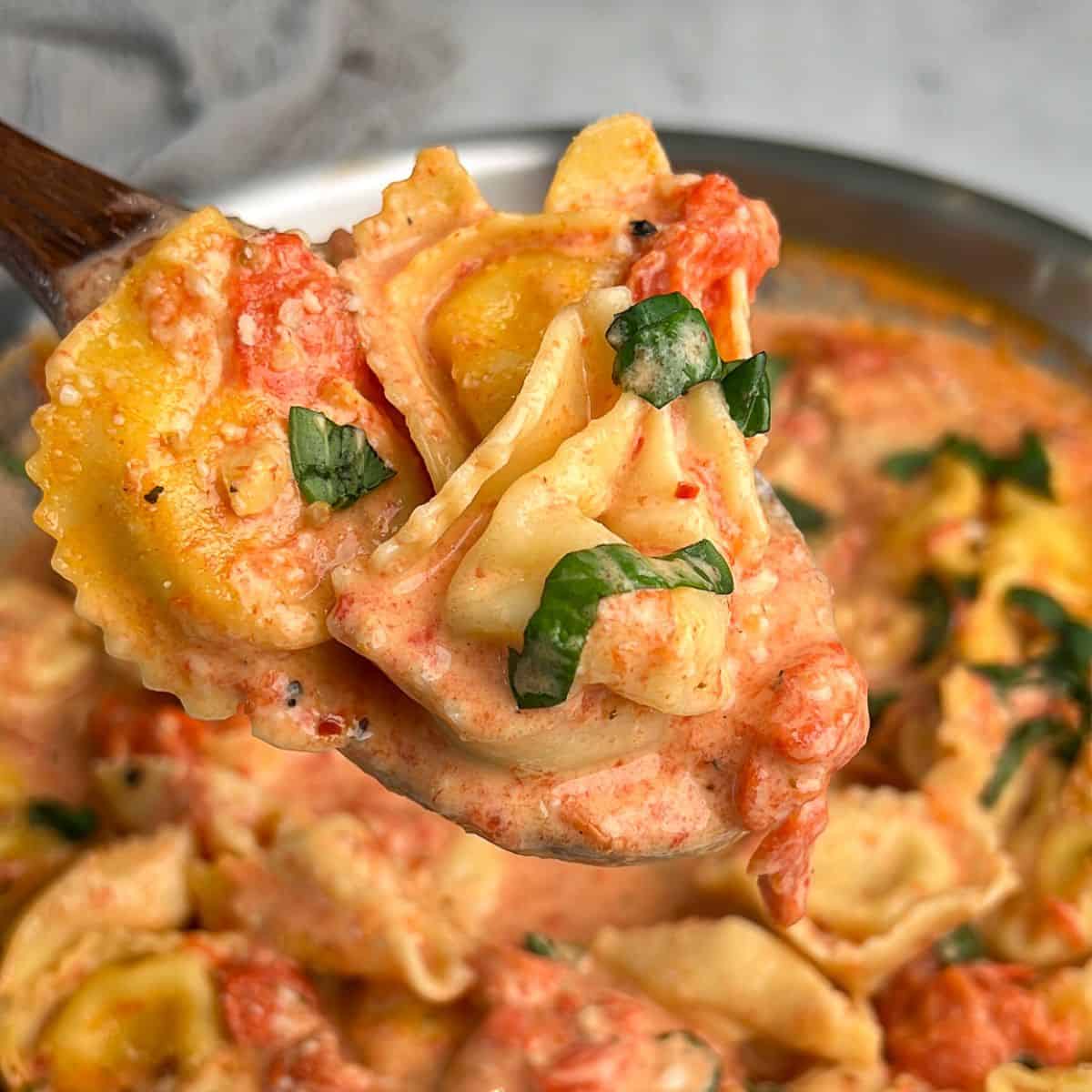 creamy tomato pasta on a wooden spoon held up to the camera