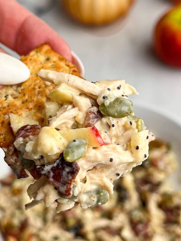 Featured image for autumn chicken salad with apples.