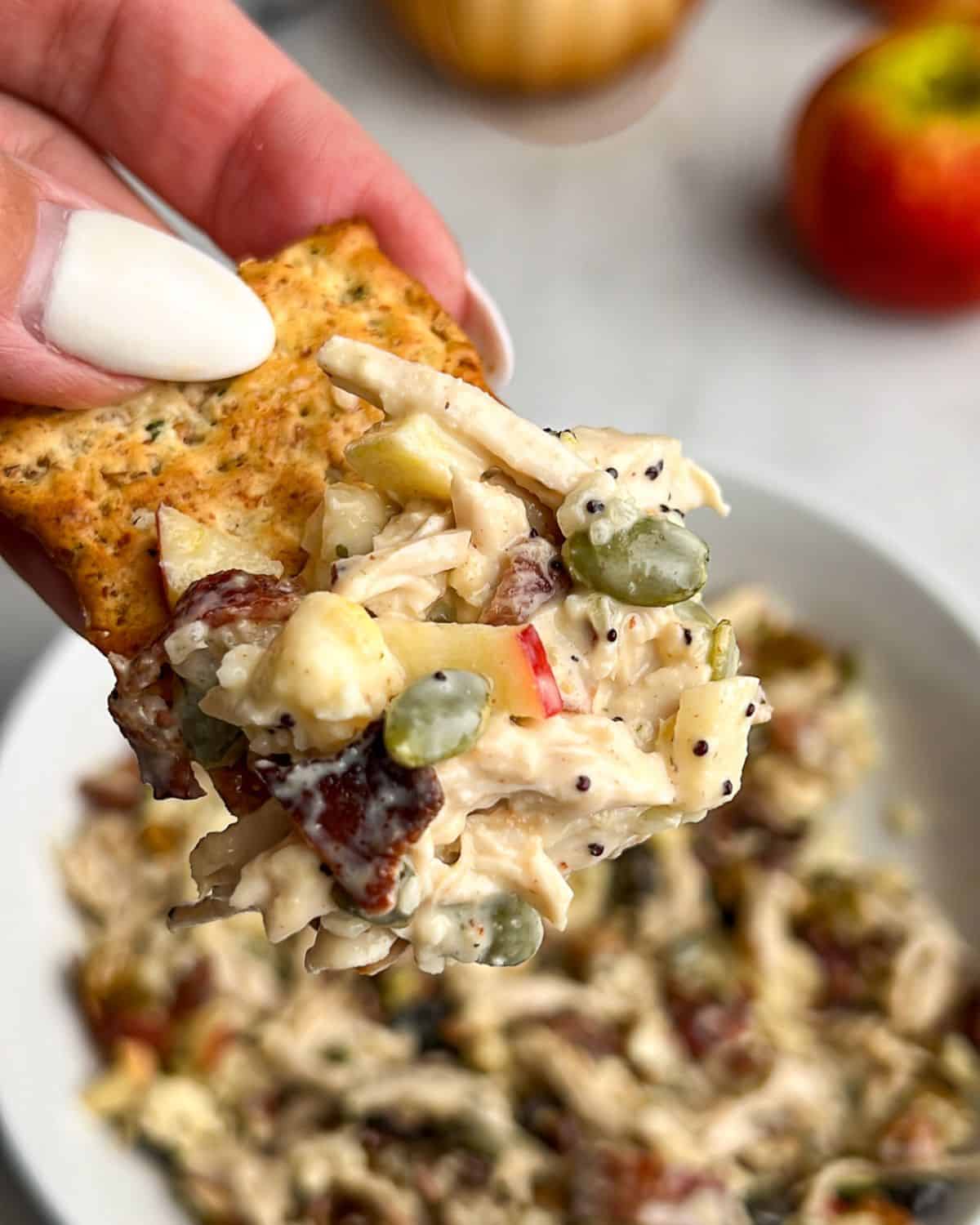 A cracker loaded with chicken salad with apples.