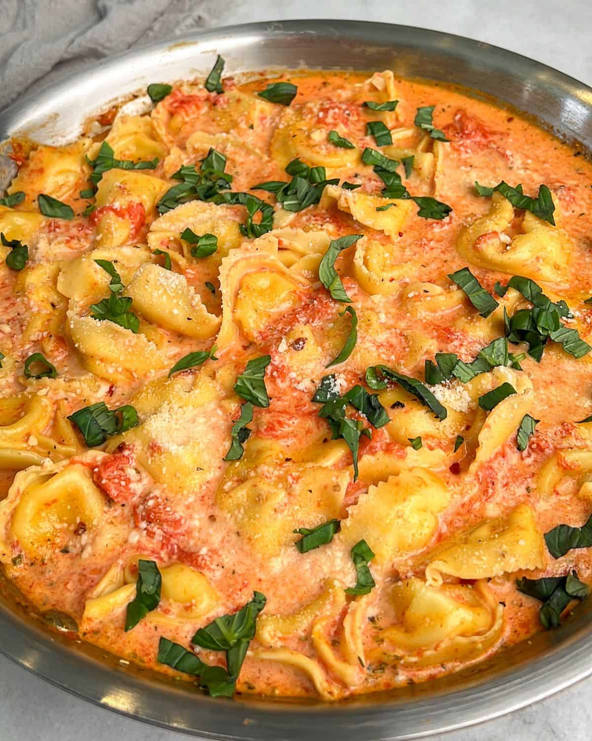 up close shot of creamy tomato pasta