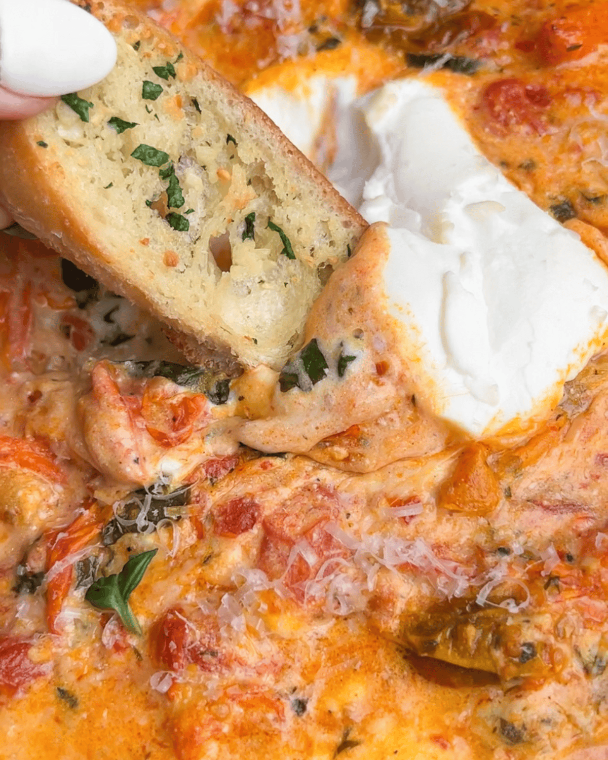 Close-up image of a hand dipping a slice of garlic bread into tomato burrata dip.