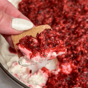 featured image for cranberry jalapeno dip