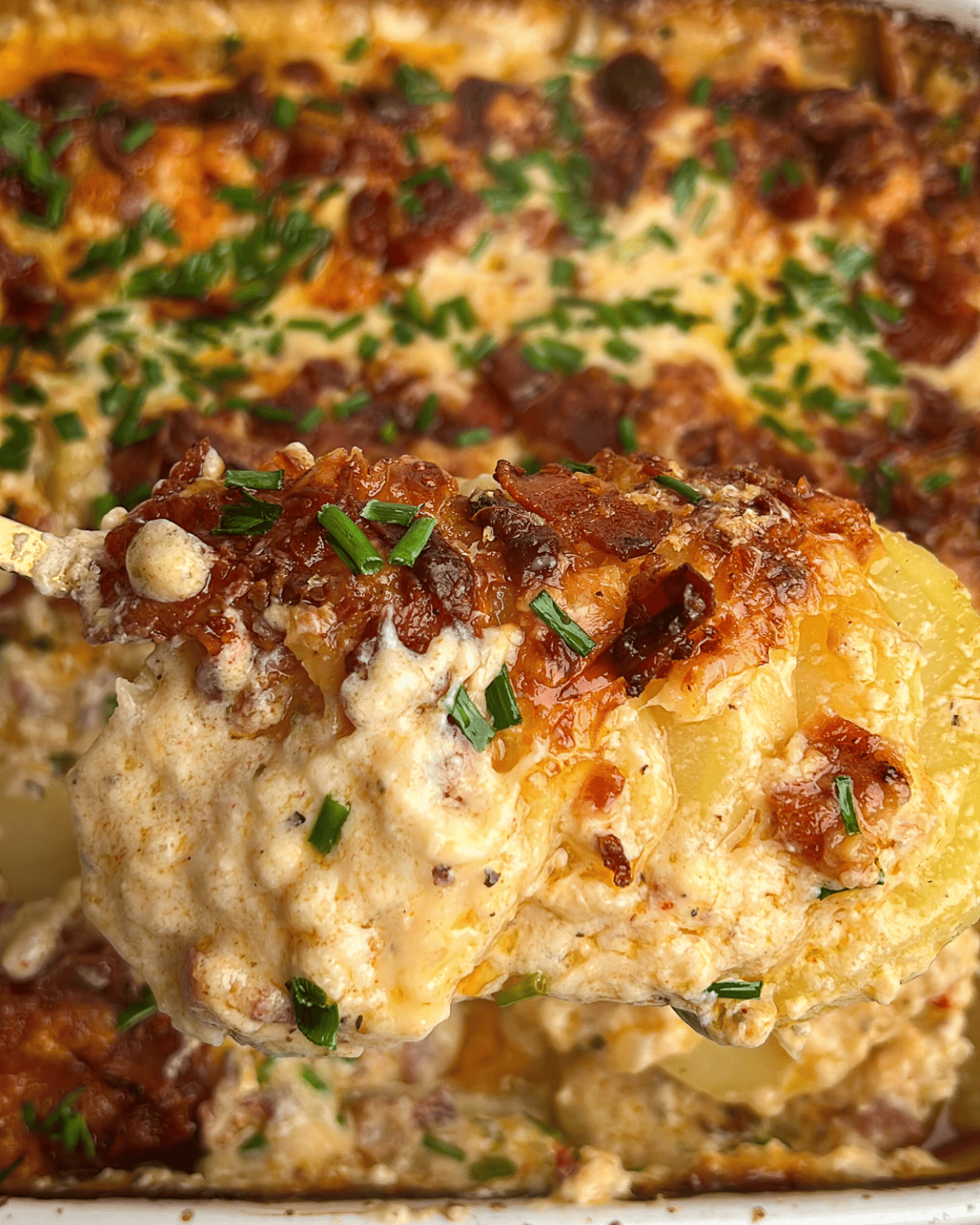 loaded scalloped potatoes