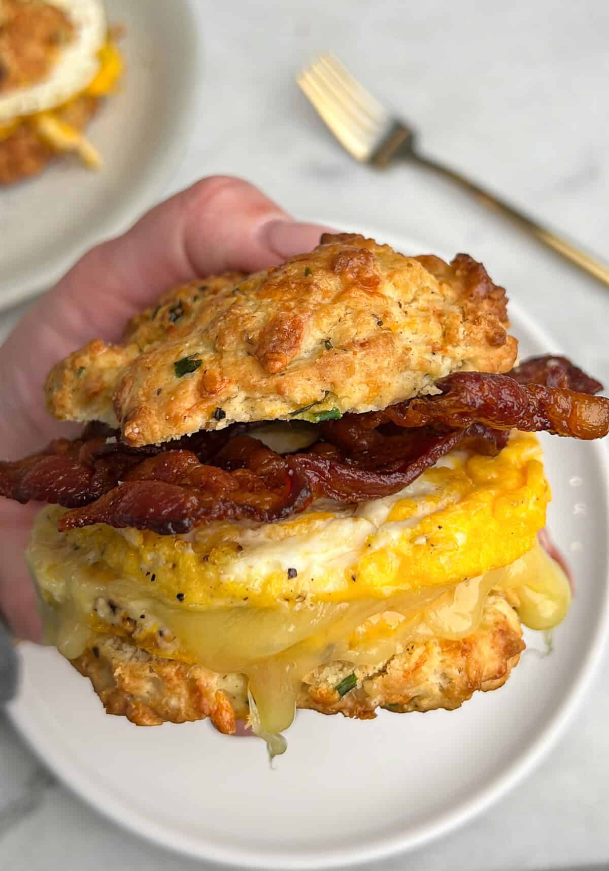 breakfast sandwich on a chive biscuit being held to the camera