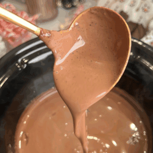 crock pot hot cocoa being being ladled
