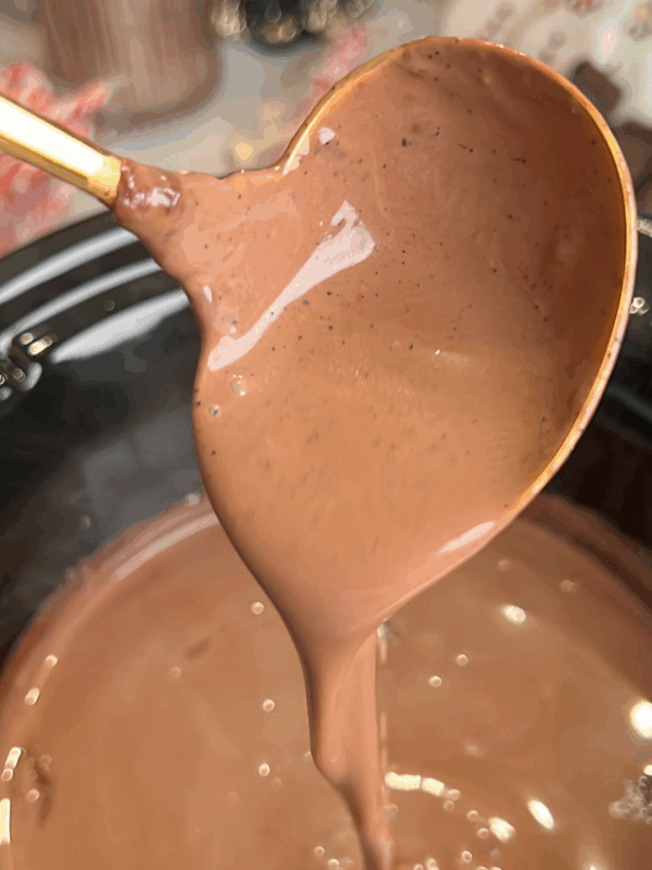 crock pot hot cocoa being being ladled