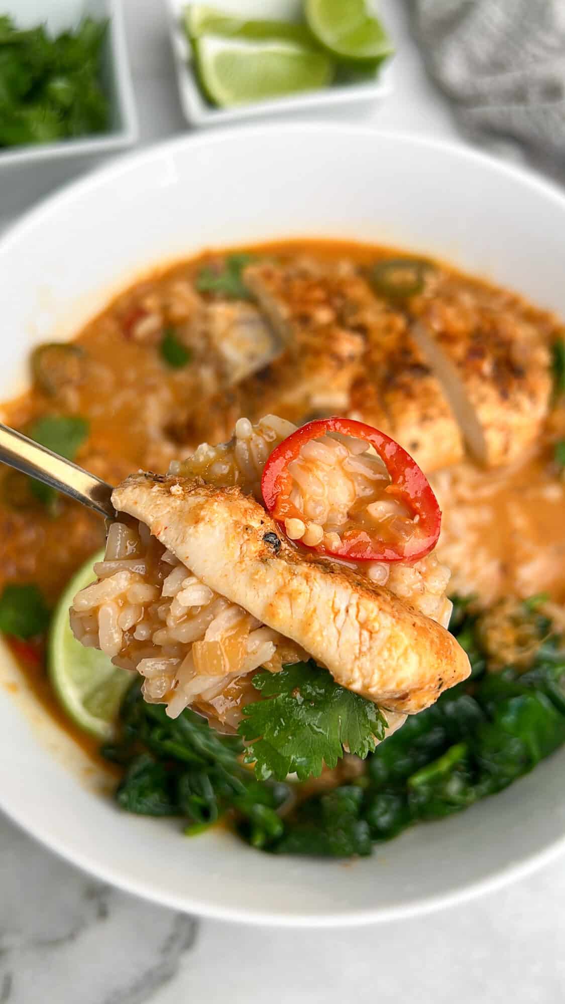 spoonful of brothy rice