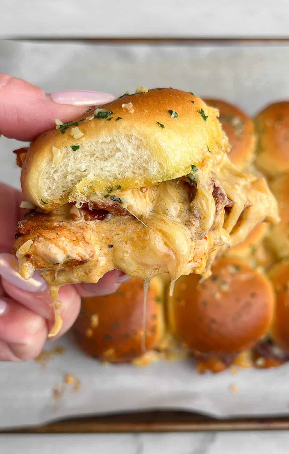 chicken alfredo sliders in hand