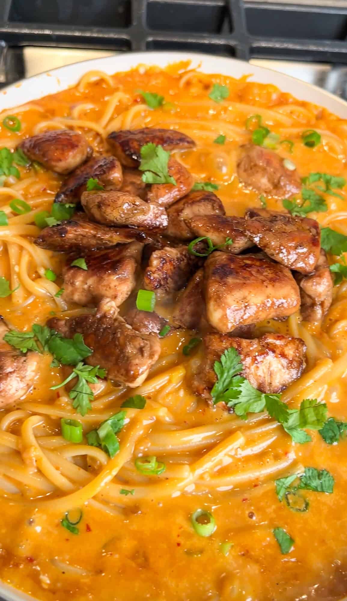 chicken and cilantro sitting on chili oil noodles